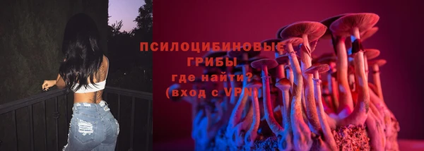 MDMA Новодвинск