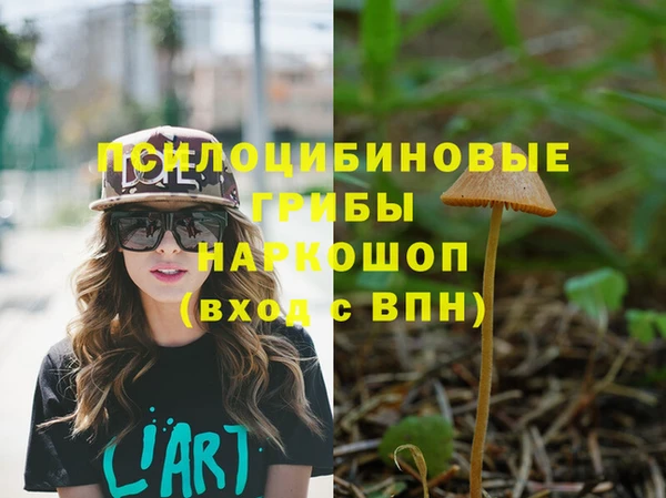 метадон Нея